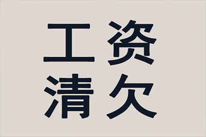 居巢追数公司